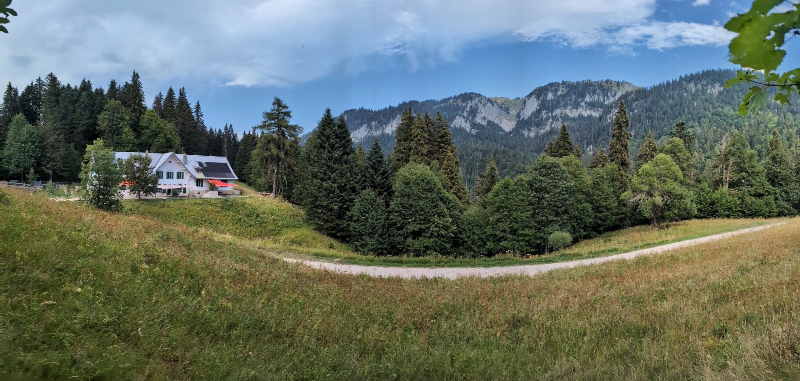 panoramique1